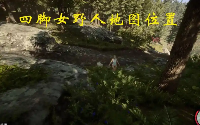 《森林之子》四脚女野人刷新地图位置解析