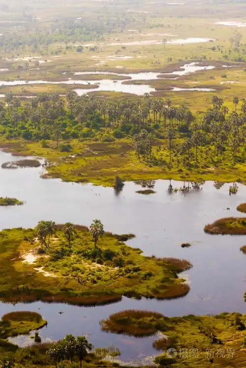 奥卡万戈三角洲鸟瞰图