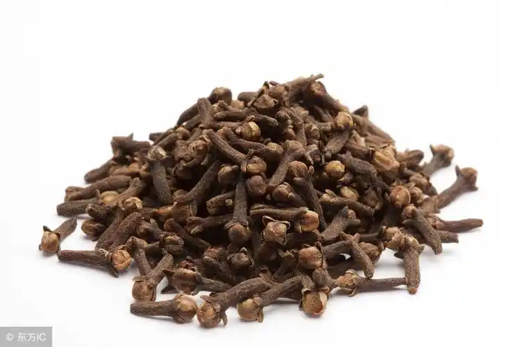 每日说中药丨常服丁香有哪些健康价值?应该怎么使用?