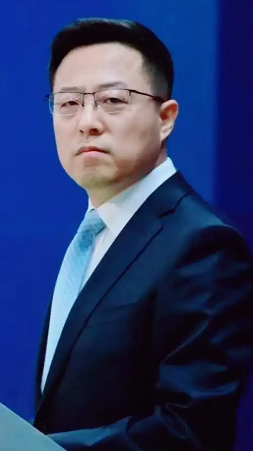 中国外交天团,大国外交官赵立坚.