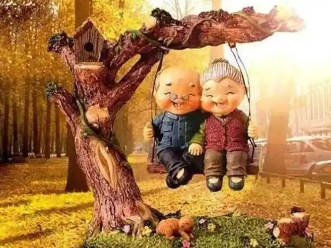 爱情丨陪你一起慢慢变老