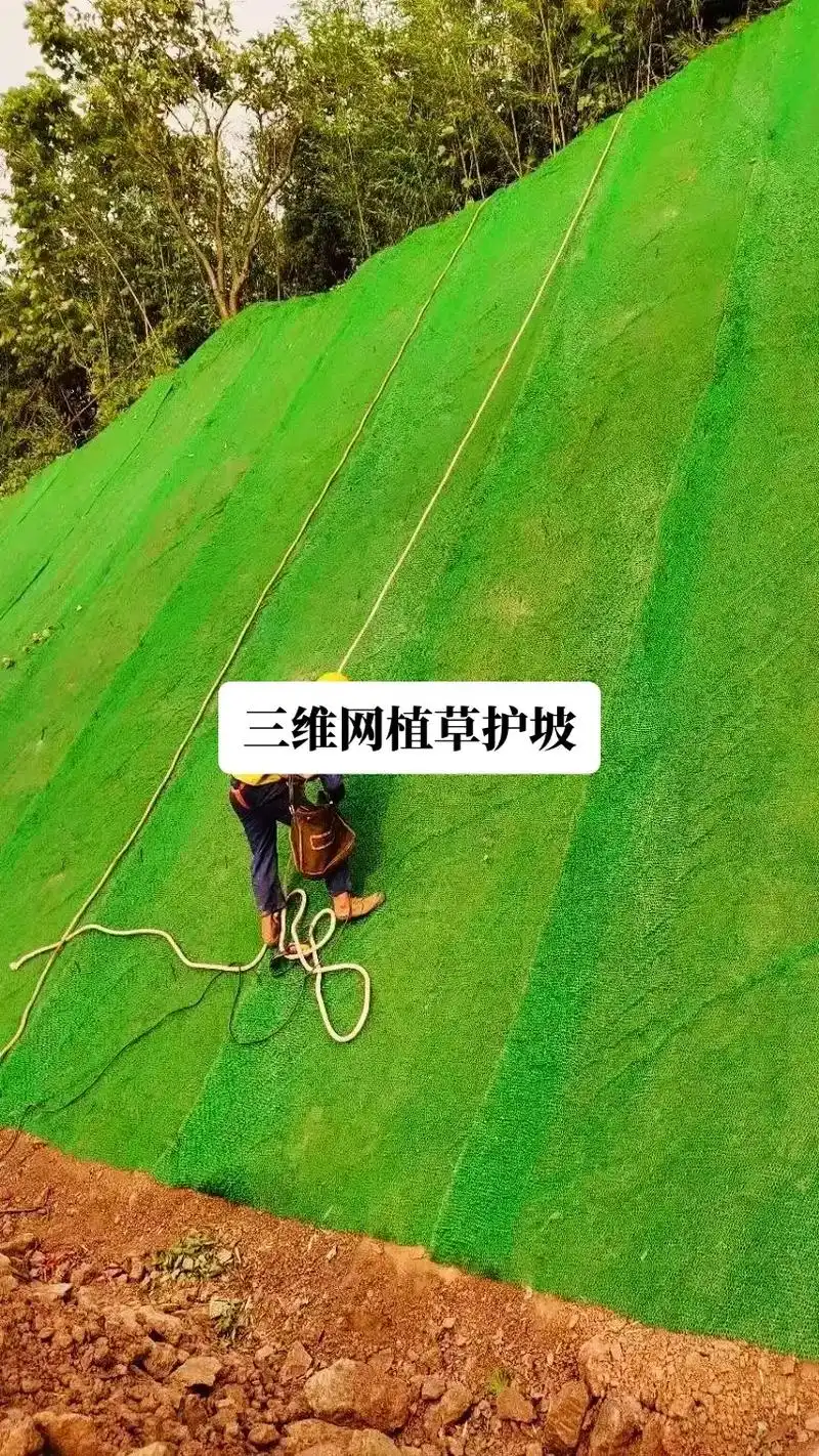 三维植被网护坡.