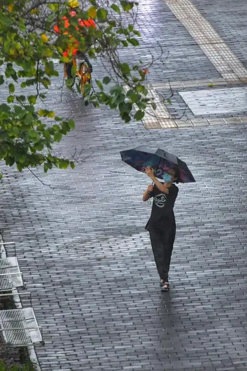 雨幕下的宝安人,驰而不息!