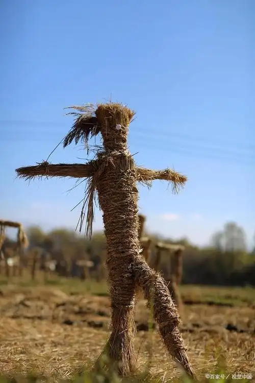 我是一个稻草人,我站在灿黄的麦田间,注视着耕作的外公,或许,他不曾