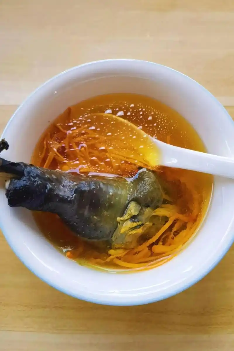 虫草花乌鸡汤95959595959595.
