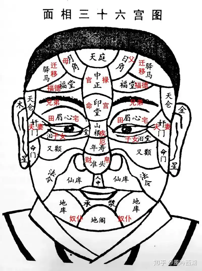 我们的脸面与紫微斗数面相12宫一一对应.