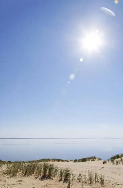 会员登录可下载 1024 无水印图片