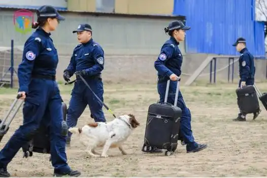 警企携手共助"少年警官"安全素养提升|警营|守护者|安全教育|志愿服务