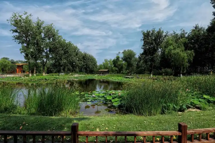 通州大运河森林公园 漕运码头一日游