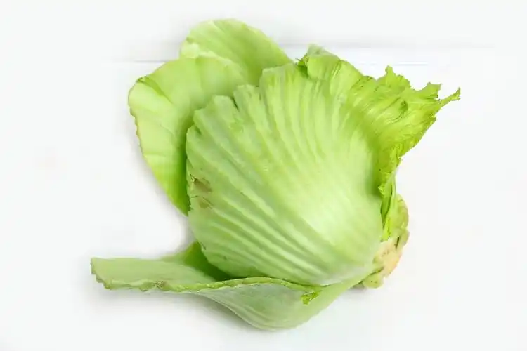 小芥菜和大芥菜的区别 芥菜种类有多种