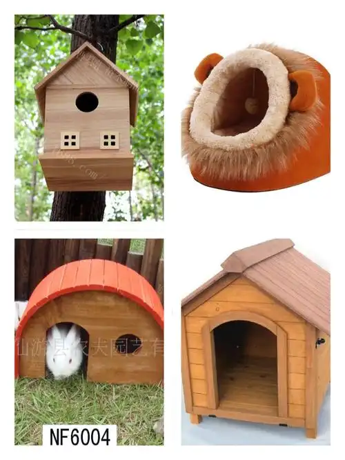 小小设计师们,让我们动起手来给动物们设计一座漂亮的新房子吧.