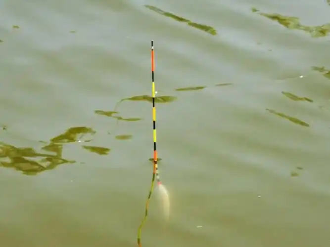 钓鱼时浮标为什么会斜?