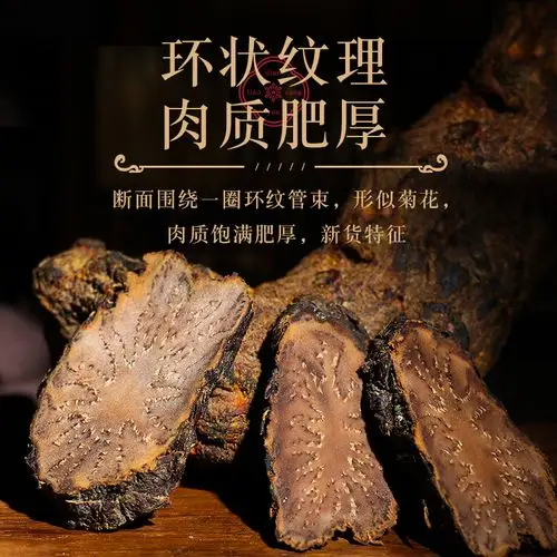 正品肉苁蓉沙漠人参淫羊藿锁阳内蒙古特级泡茶水男性用整根片