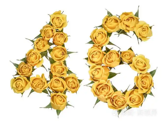 阿拉伯数字46四十六从玫瑰黄色的花isola