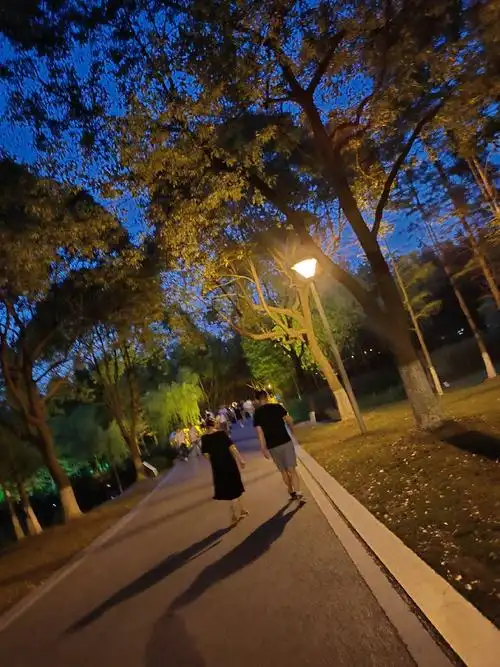 今天和爸妈纯散步~一不小心抓拍到一张很美很暖心的照片