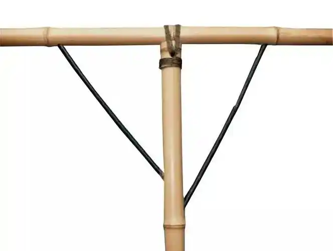 竹子的几种捆扎法总述