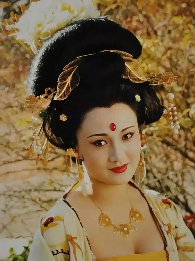 林芳兵杨玉环 杨贵妃 林芳兵 电视剧 演员