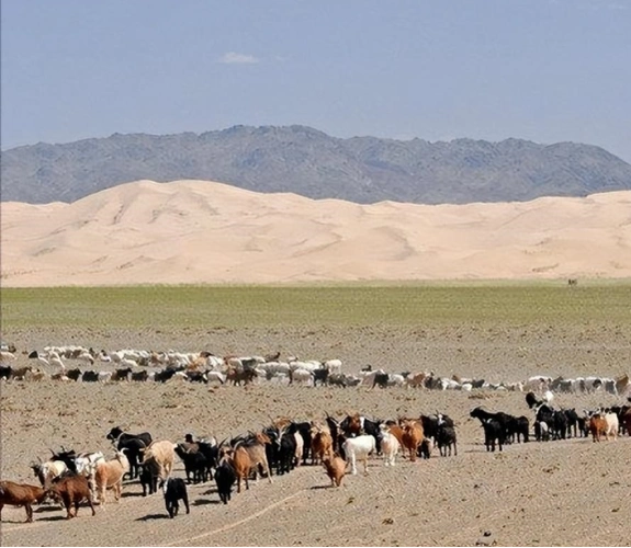 外蒙古混的到底有多惨72的土地荒漠化全国仅有一条高速公路