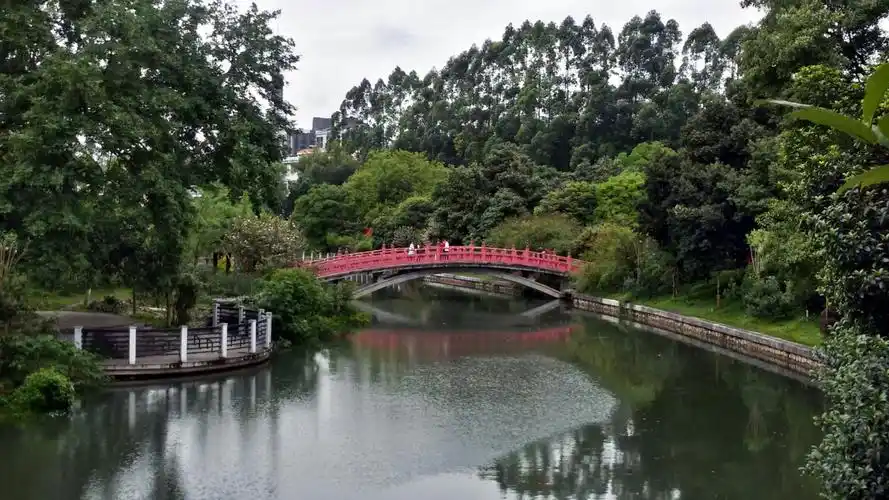 手机拍于南溪山公园.