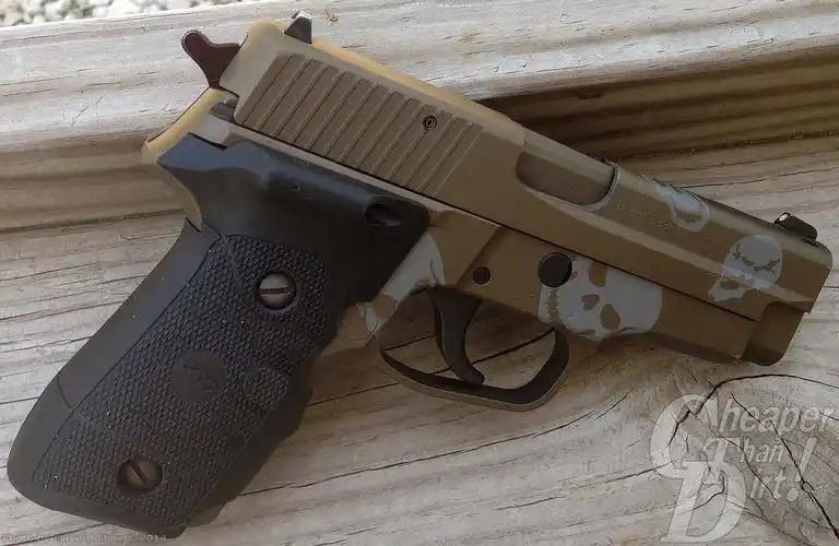 choosing a survival gun