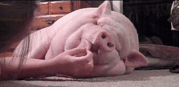 是不是谣言,终于清楚了_今日看点_健康资讯_株洲健