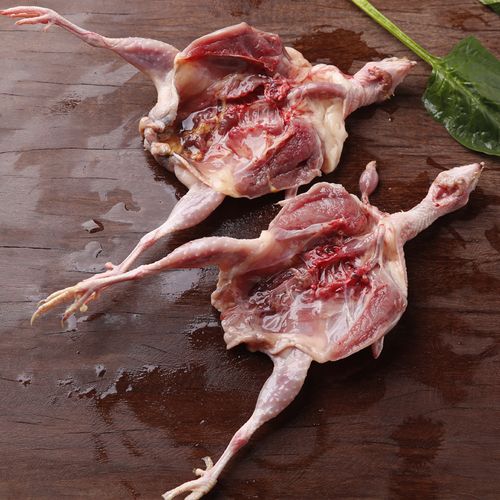 鹌鹑开膛速冻白条新鲜烧烤油炸骨肉现杀10只其它生肉制品