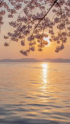 文艺复古 - 堆糖,美图壁纸兴趣社区