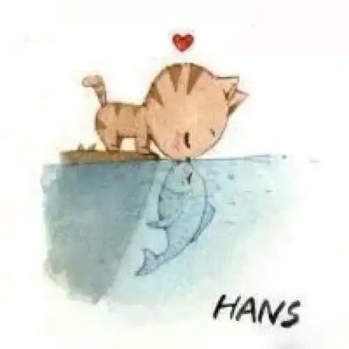 一只猫和一只鱼的爱情