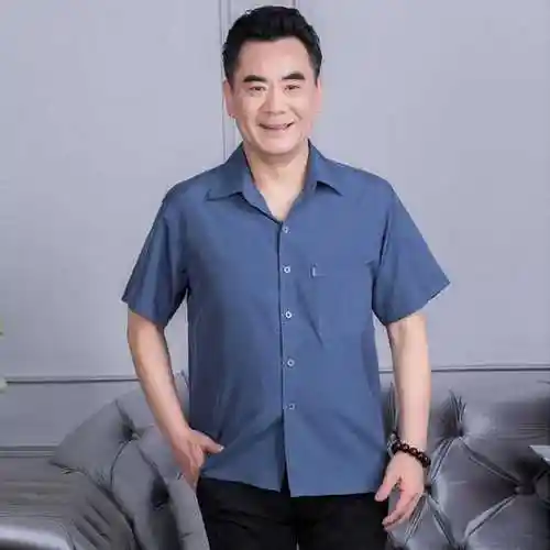 中老年男士短袖衬衫夏季新薄款休闲宽松爷爷衬衣老年人爸爸装上衣