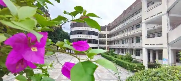 南安三中2024年春季编外教师招聘通告|学校|教育|福建省|普通高中