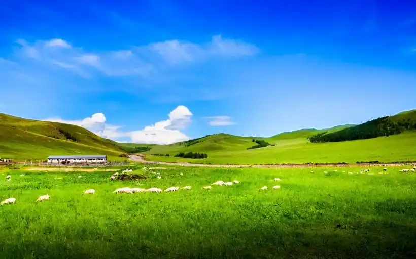 内蒙古草原风景图片 - 第11张