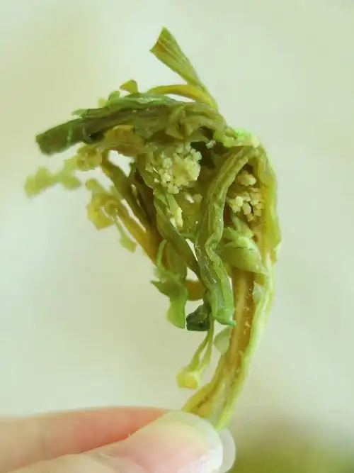 06新鲜花菜不耐留晒成干放1年都不会坏