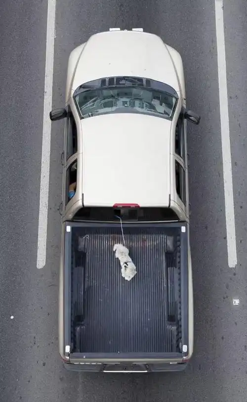 摄影|俯视 来往的车_网易订阅