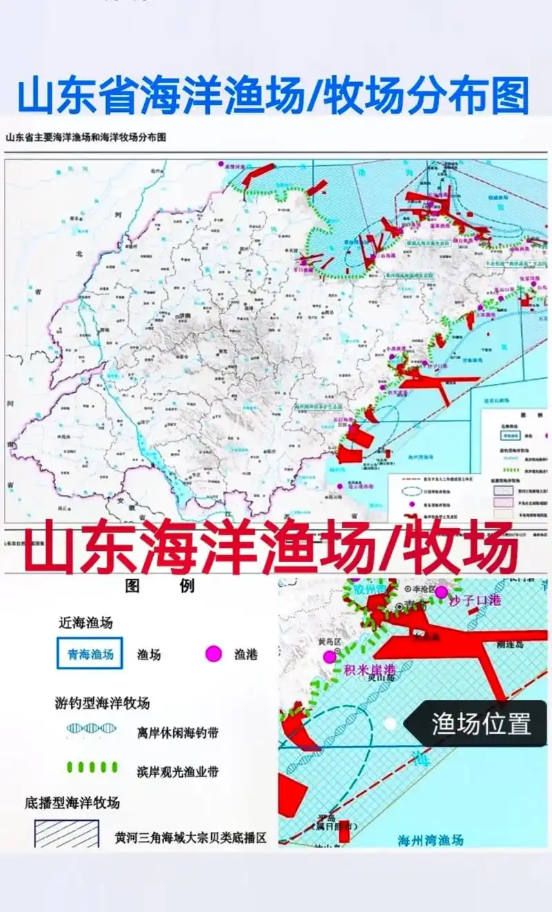 山东省海洋渔场和海洋牧场分布.#山东#海洋牧场#渔场#分布地 - 抖音