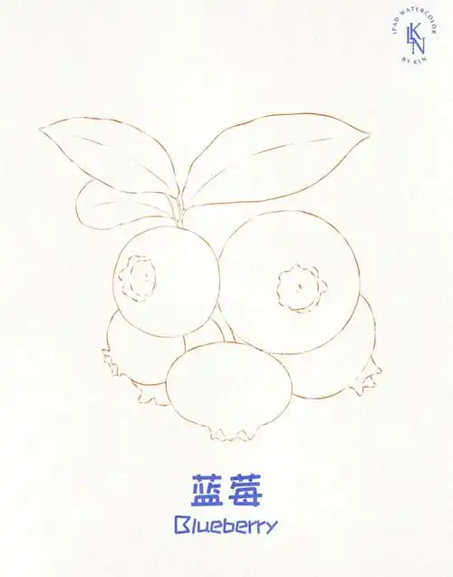 ipad绘画蓝莓