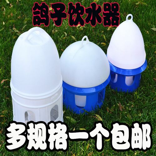 信鸽自动水壶水槽食槽赛鸽用品鸽子饮水器塑料制品鸽用一件包邮