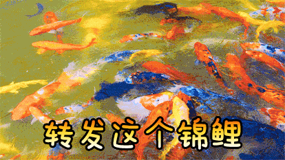 414_233gif 动态图 动图