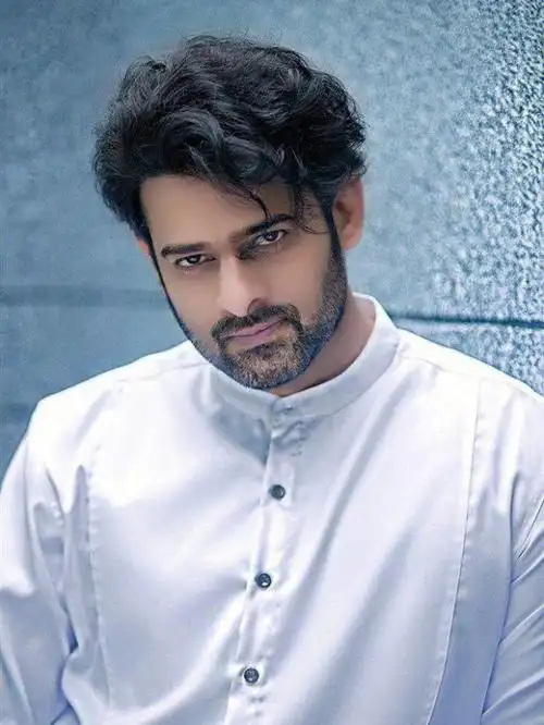 帕巴拉斯是我唯一一个很迷的印度男星,中国有粉丝群么?