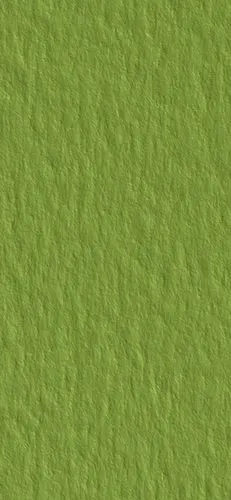 壁纸纯色壁纸据说关注我的都是仙女!