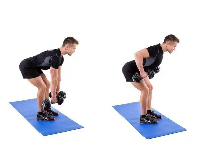 哑铃练背动作有哪些?