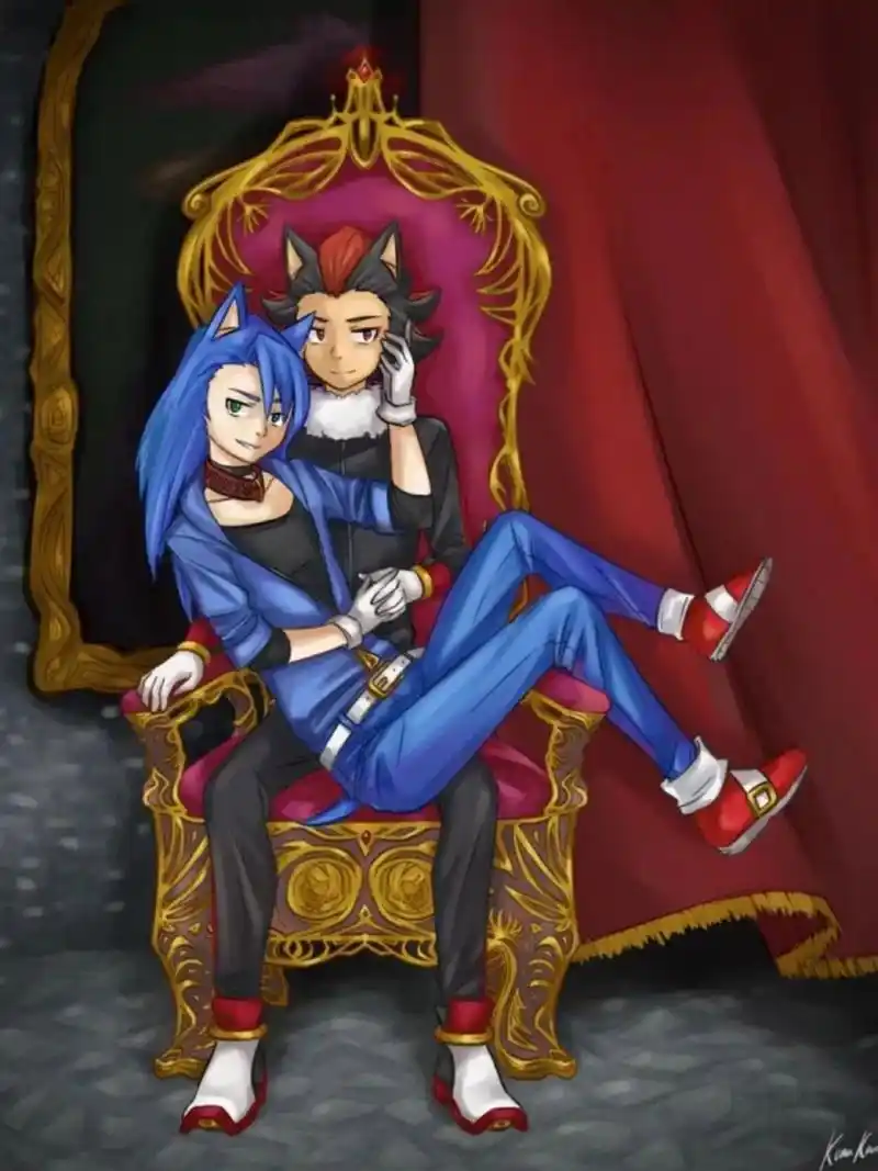 索尼克和夏特(黑青)