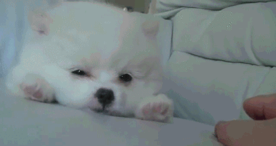 我没睡醒的表情包