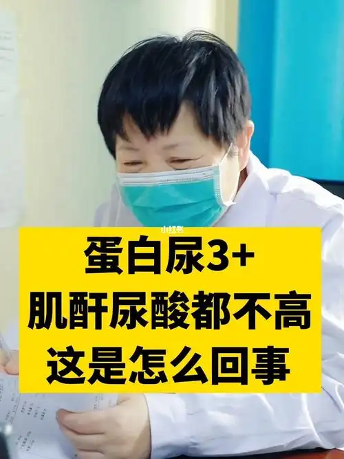 尿蛋白3肌酐尿酸都不高这是怎么回事