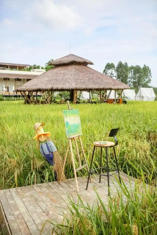小草垛田野农场丨童年的纸飞机终于飞回我手里