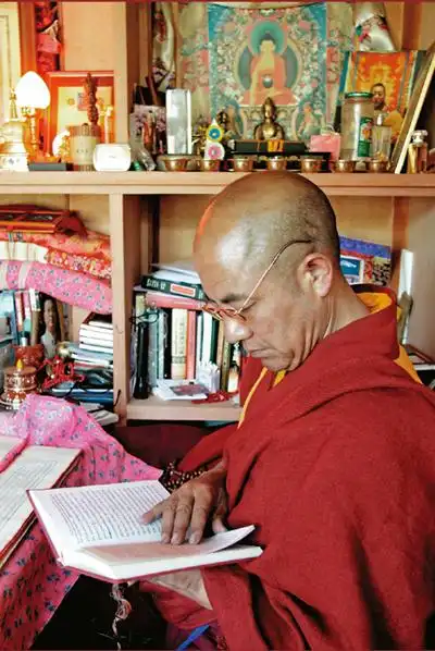 苦才是人生——索达吉堪布教你守住(索甲仁波切,著名演员孙俪,陈坤