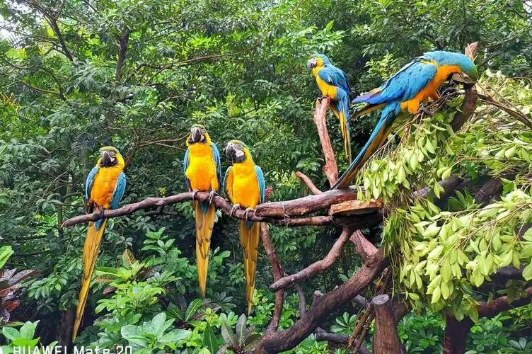 长隆游记一野生动物世界