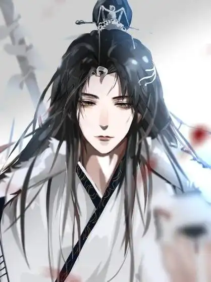 天官赐福里的最让人意想不到的大boss就是君吾和白无相,一个是上天庭