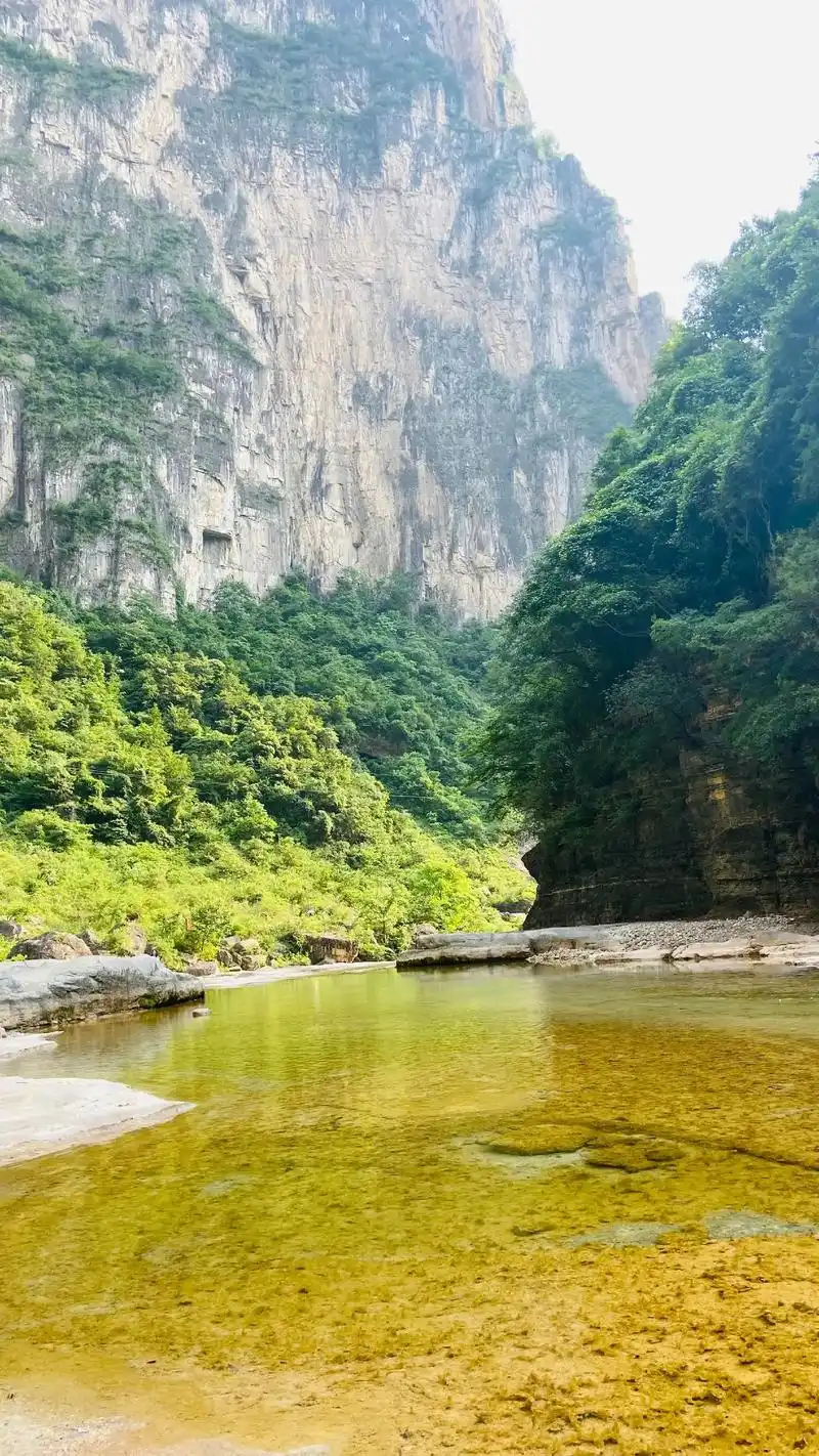 红豆杉大峡谷位于太行山南部,山西晋城市陵川县东南 - 抖音
