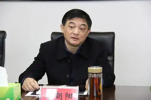 王朝阳汇报检察工作情况