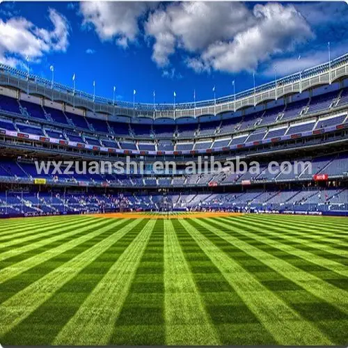 soccer field turf image